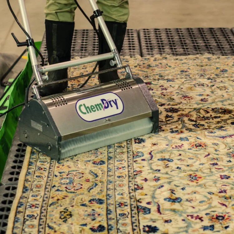 Area Rugs